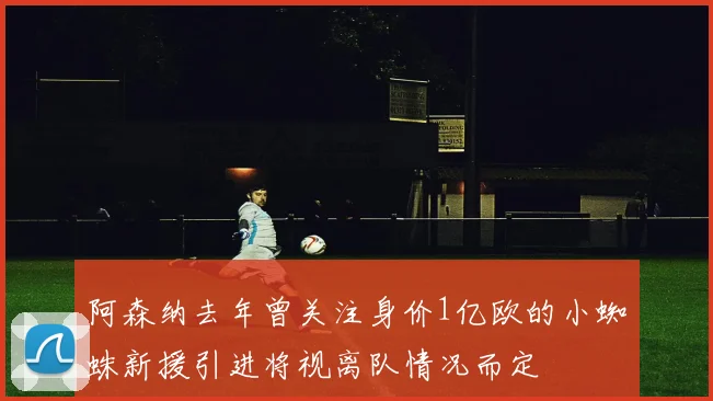 阿森纳去年曾关注身价1亿欧的小蜘蛛新援引进将视离队情况而定