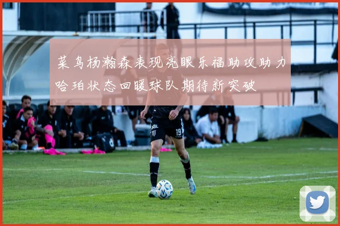 菜鸟杨瀚森表现亮眼乐福助攻助力哈珀状态回暖球队期待新突破